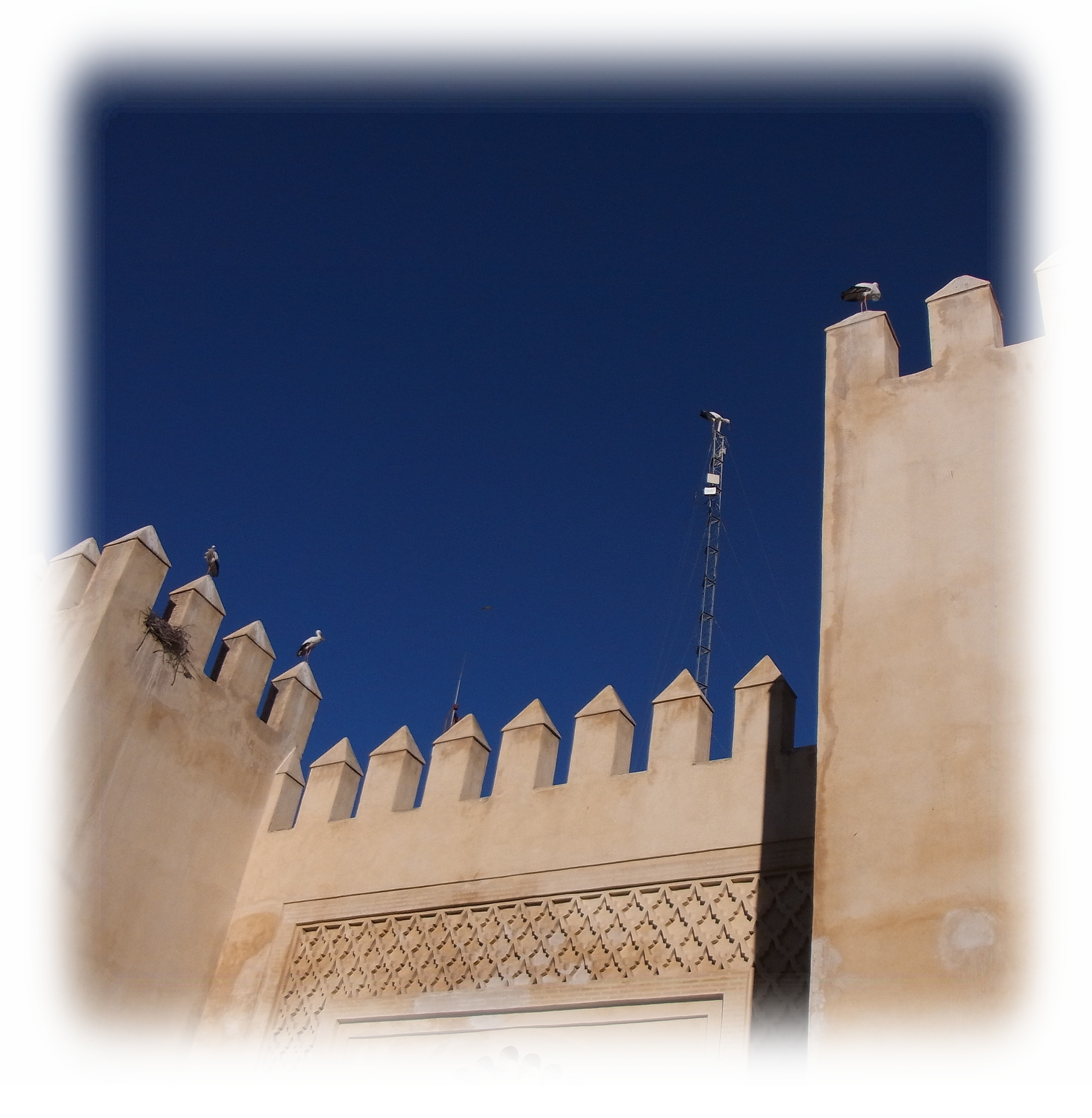 Under deep blue sky, storks are seen on the ramparts of Bab Semmarine Gate of Fes.
