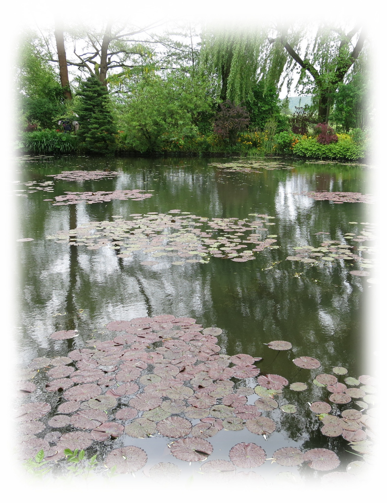 水の庭は、モネの創造の源泉