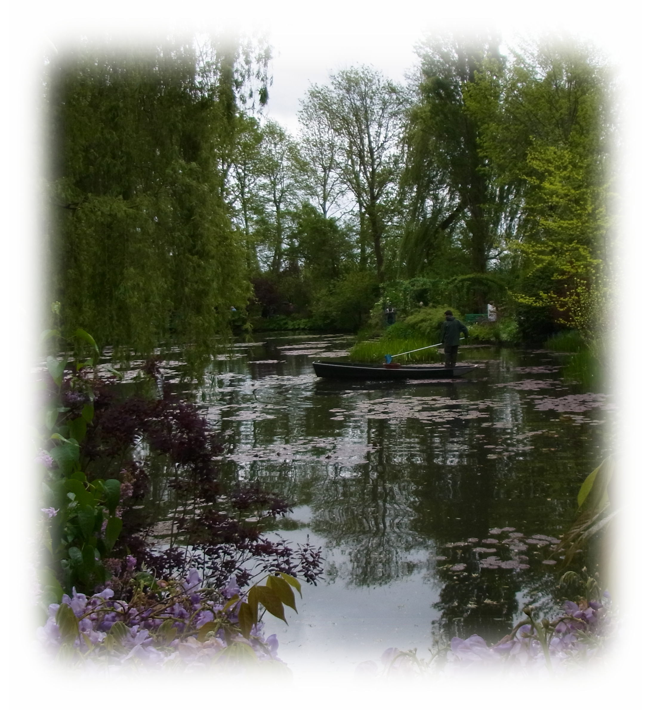 Maintenance effort of Water garden by the Claude Monet Foundation