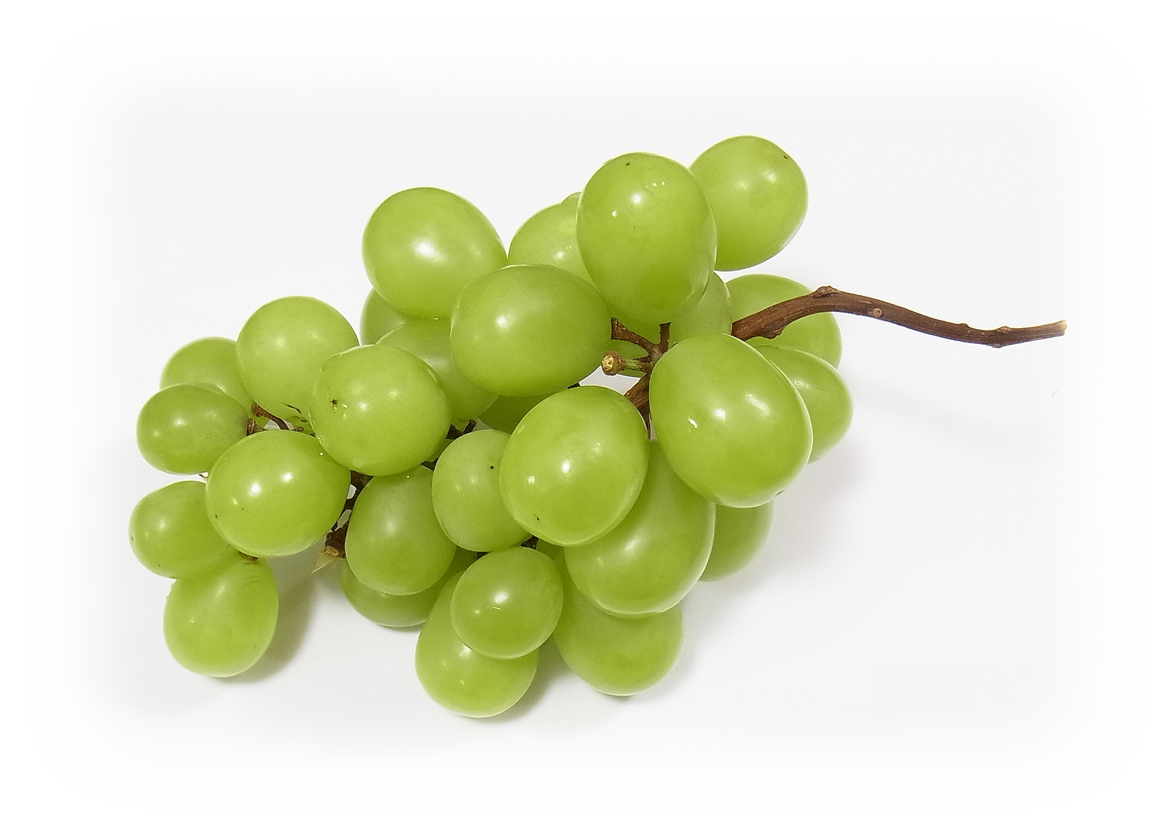 Beautiful green grapes of the Shine Muscat