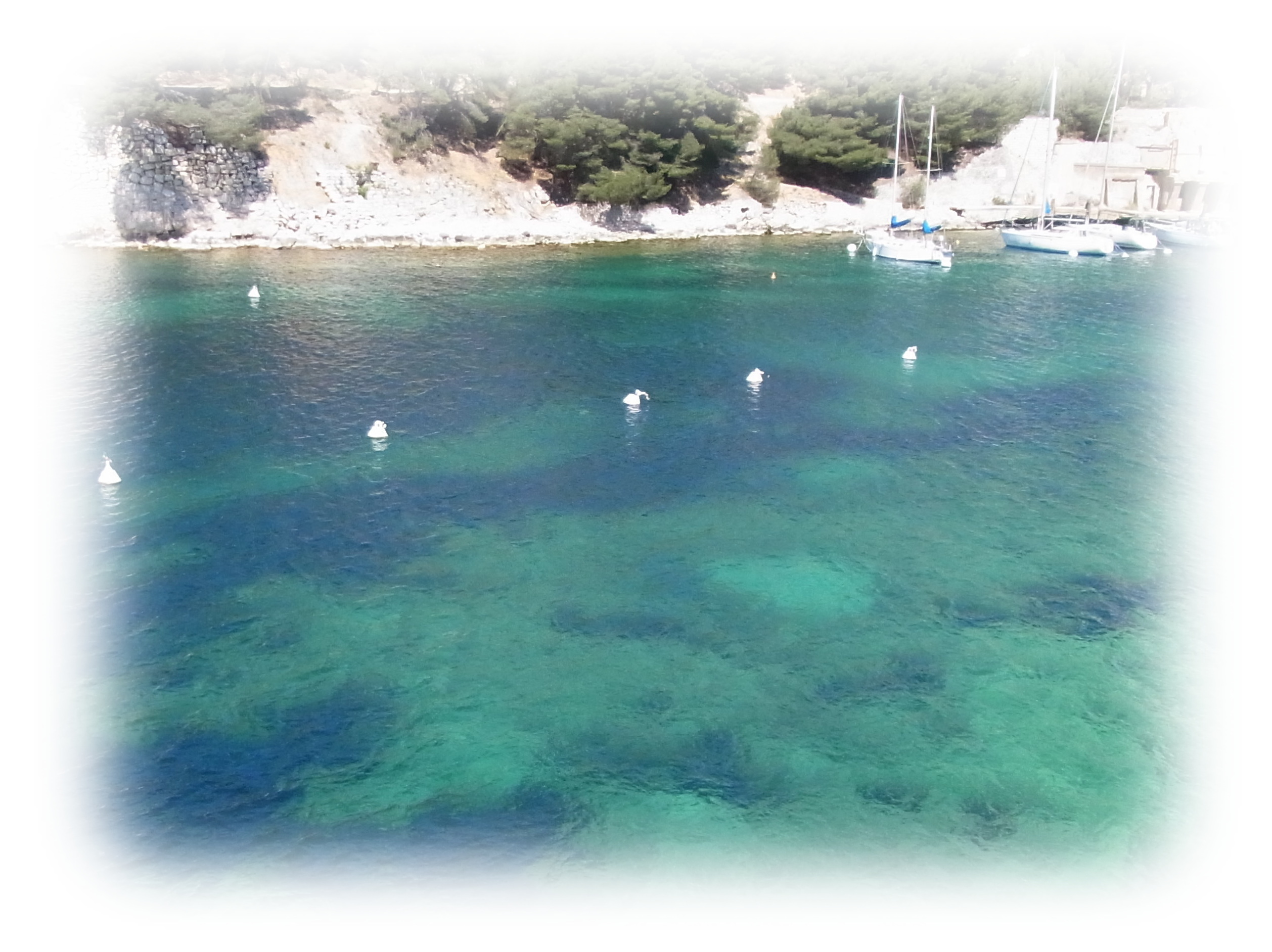 Le Calanque of Cassis